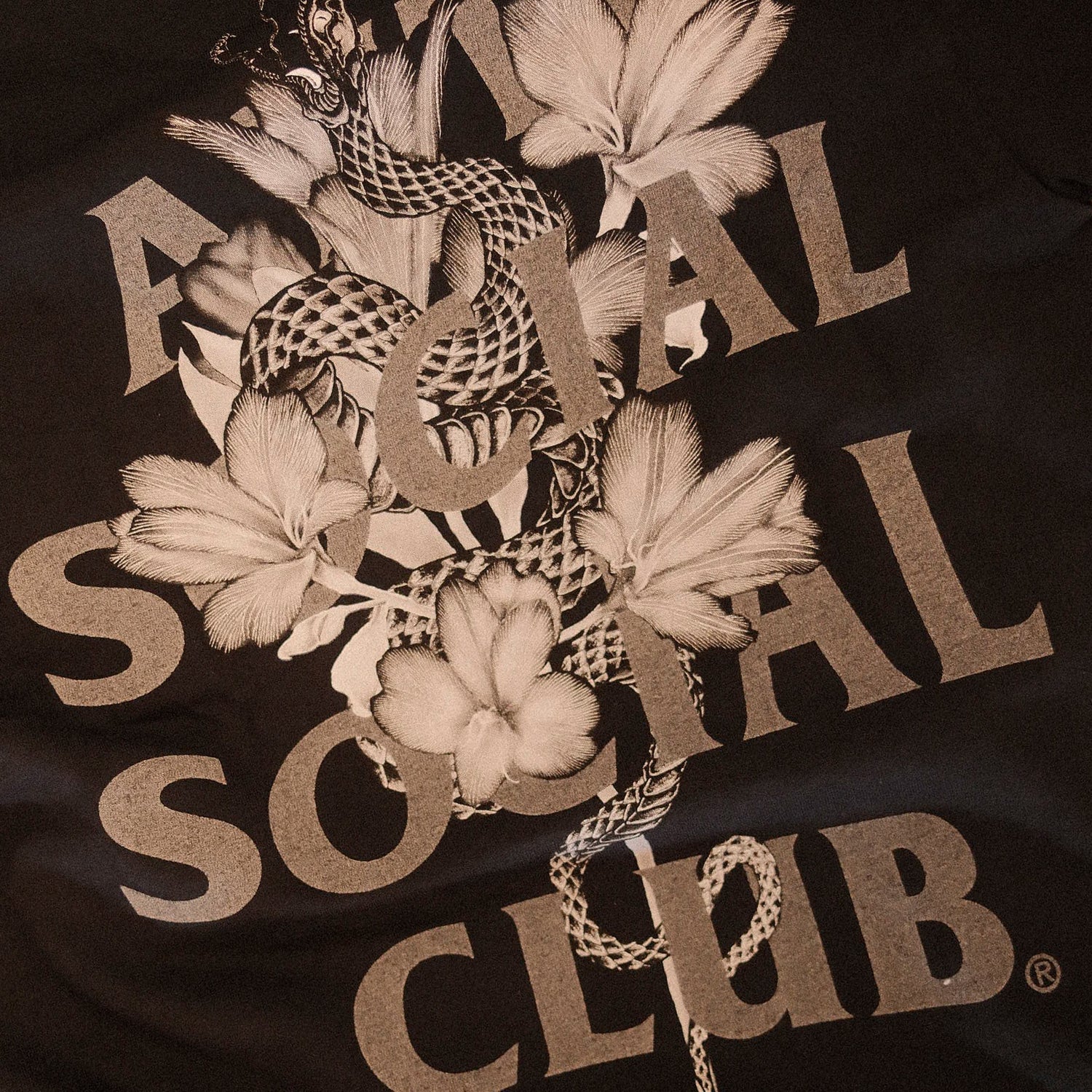 Anti Social Social Club