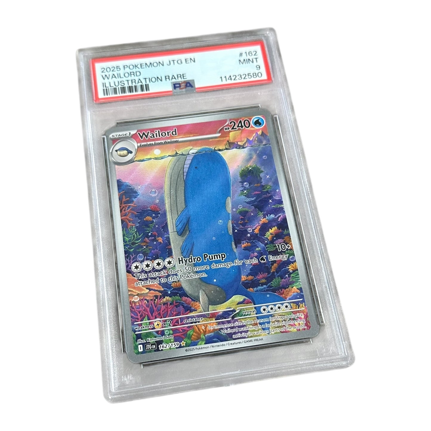 PSA 9 - Wailord (162/159)