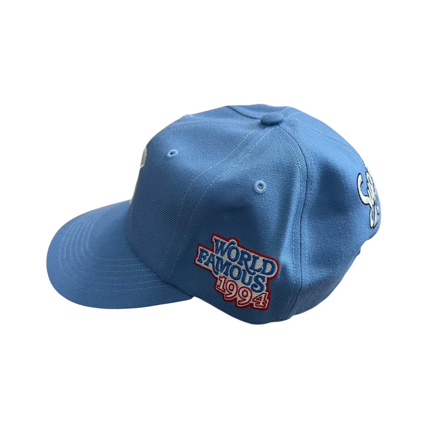 World Famous S Logo 6-Panel - Light Blue